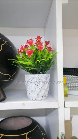 Bonsai Potted Plants - thumbnail 2