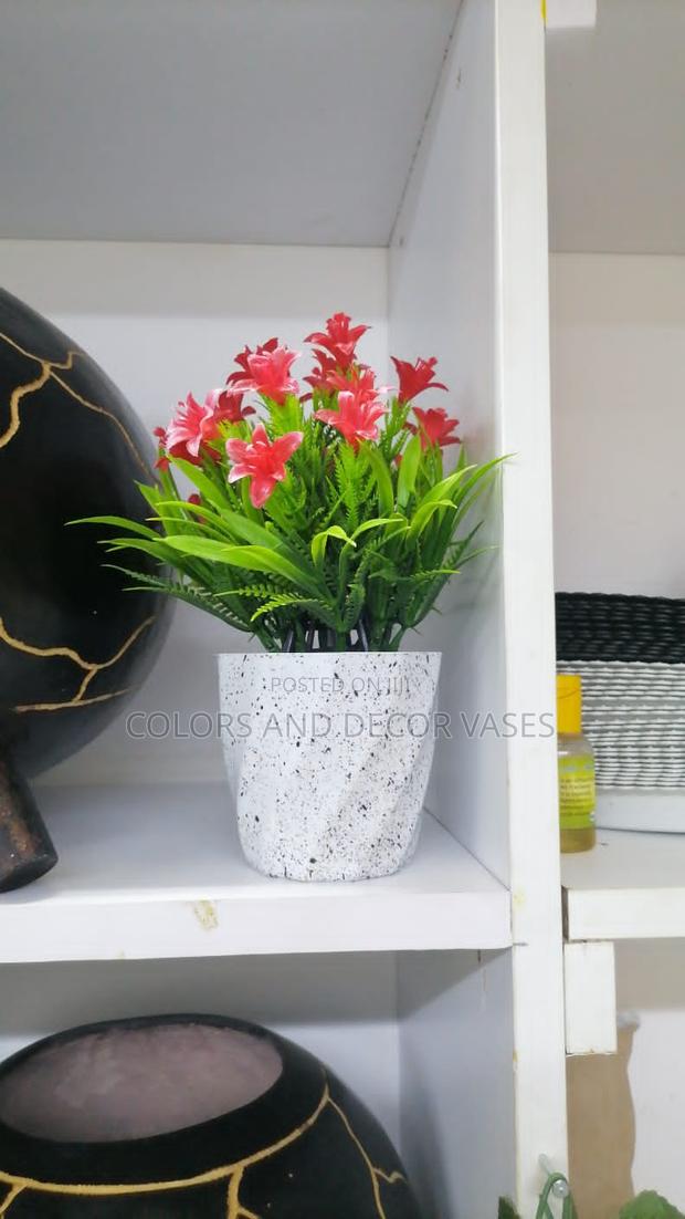 Bonsai Potted Plants - main view