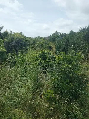 Malindi 2500 Acre Land Ready Title Deed
