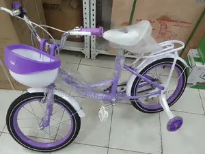 Kids Bicycle Size 16