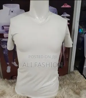 V Neck T-Shirts for Men