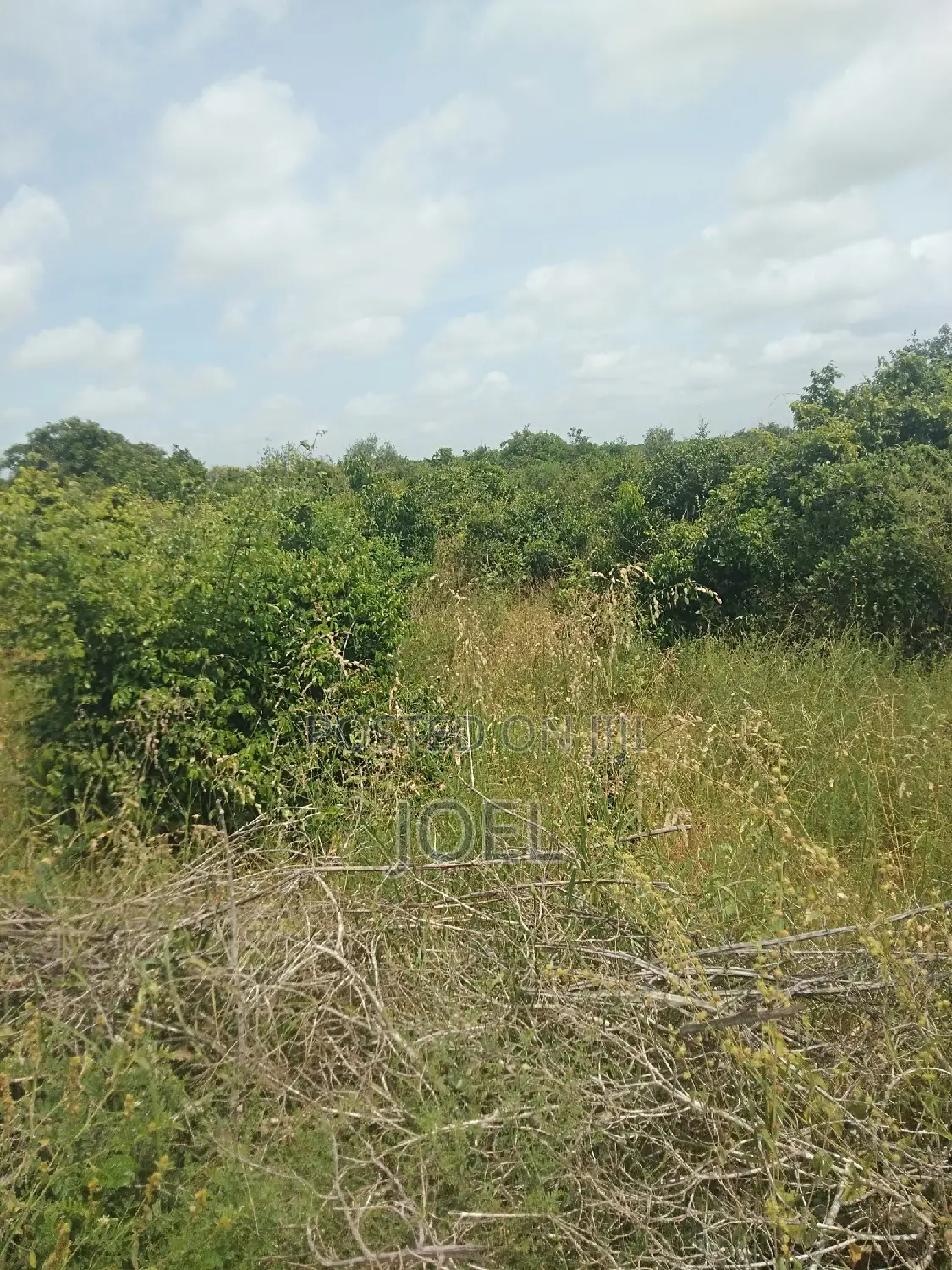 Malindi 400 Acres Land
