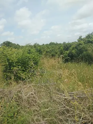 Malindi 400 Acres Land