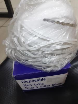 Disposable Dust Mask _ Renovation - thumbnail 2