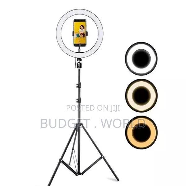 Hot Sale Affodable- 12" LED Ring Light Plus Stand - main view