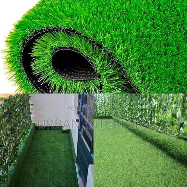Grass Carpet Grass Carpet Grass Carpet Grass Carpet Grass