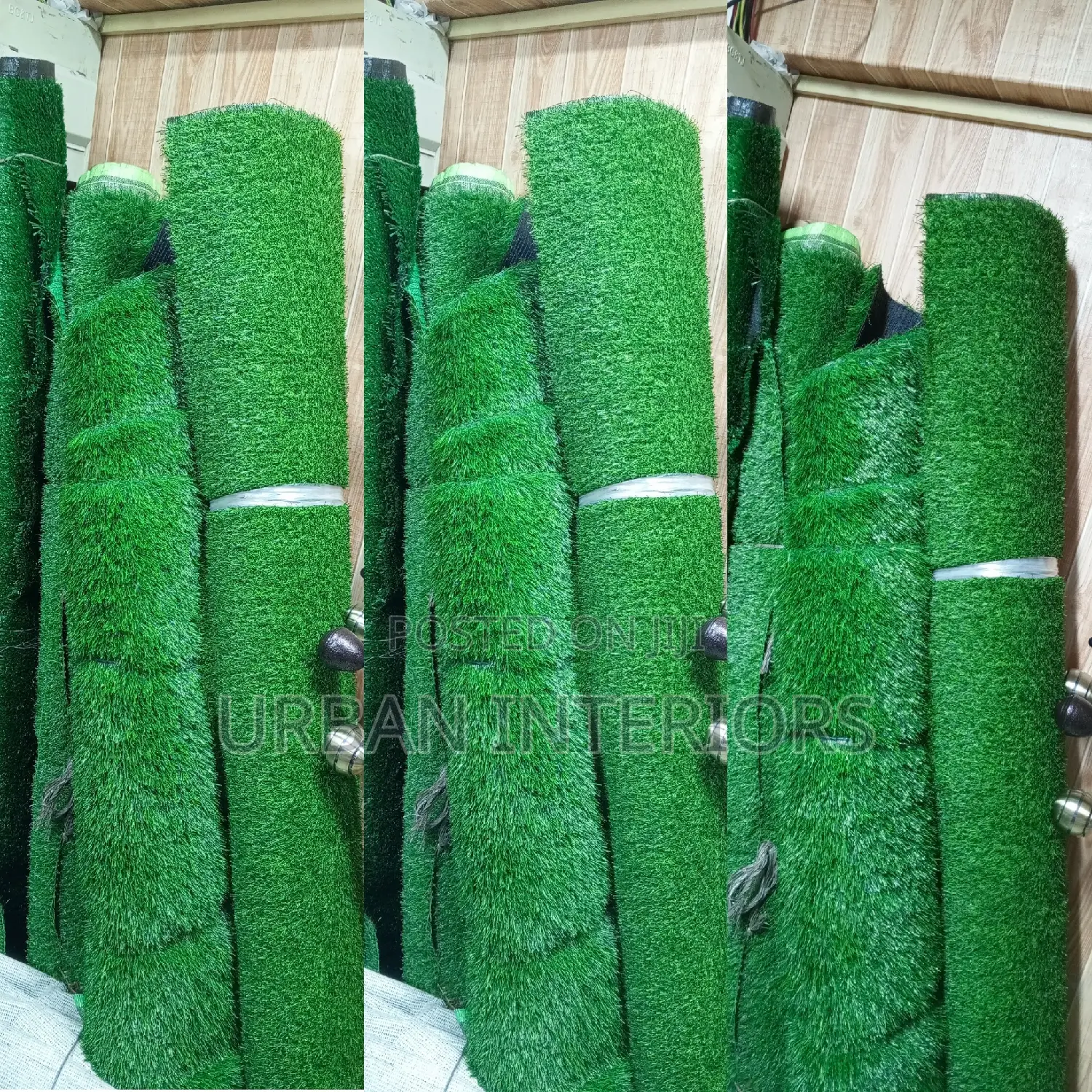 Grass Carpet Grass Carpet Grass Carpet Grass Carpet Grass