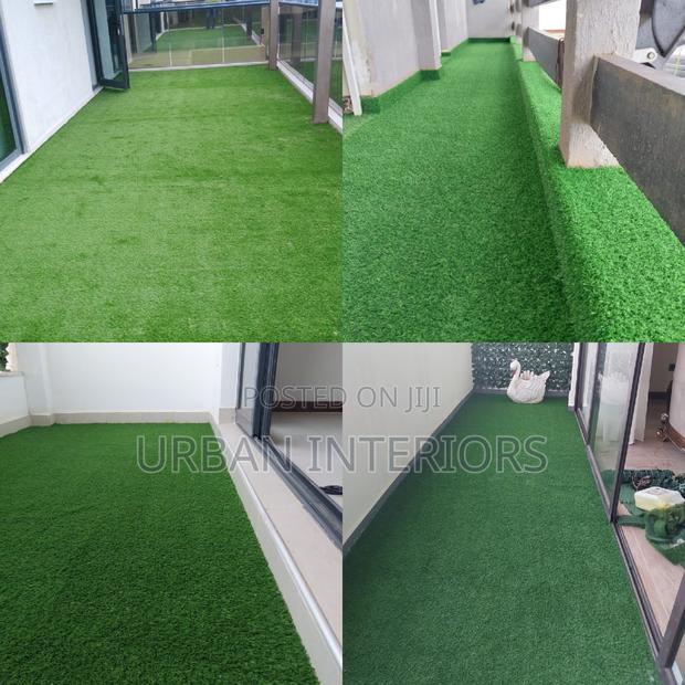 Grass Carpet Grass Carpet Grass Carpet Grass Carpet Grass