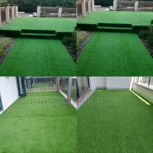 Grass Carpet Grass Carpet Grass Carpet Grass Carpet Grass