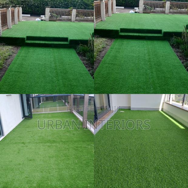 Grass Carpet Grass Carpet Grass Carpet Grass Carpet Grass