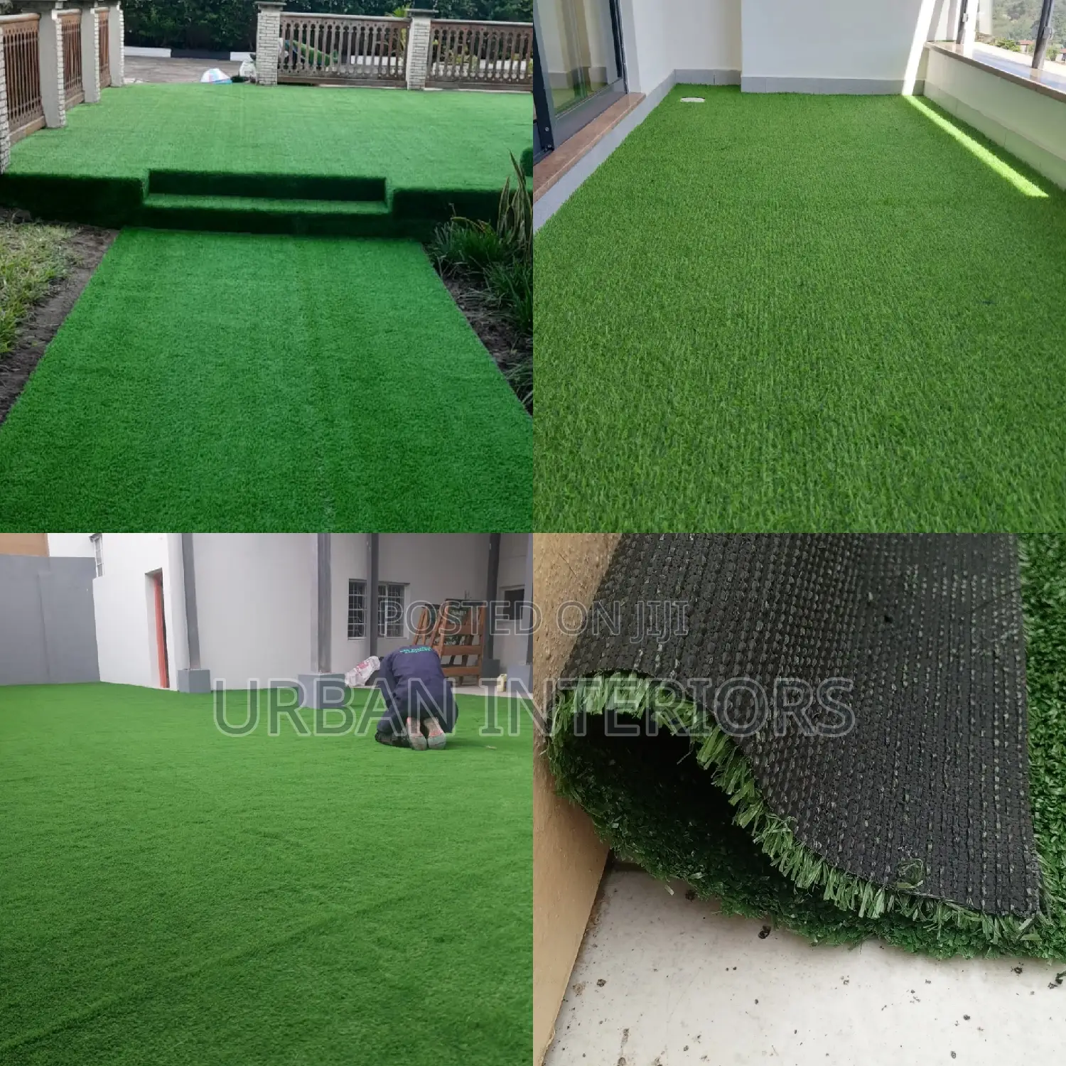 Grass Carpet Grass Carpet Grass Carpet Grass Carpet Grass