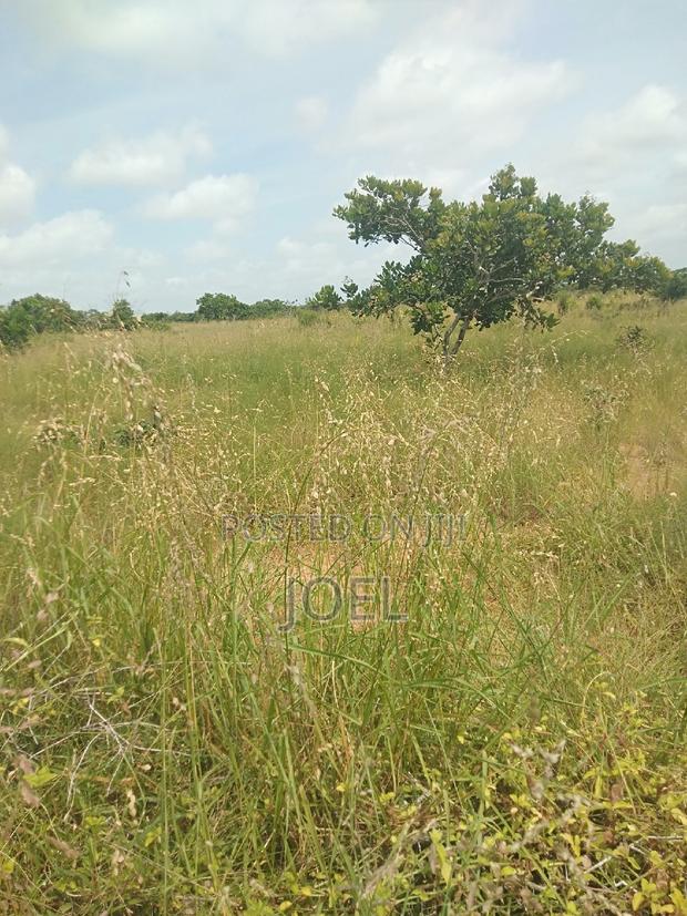 65 Acres Land Malindi Ready Title Deed - main view