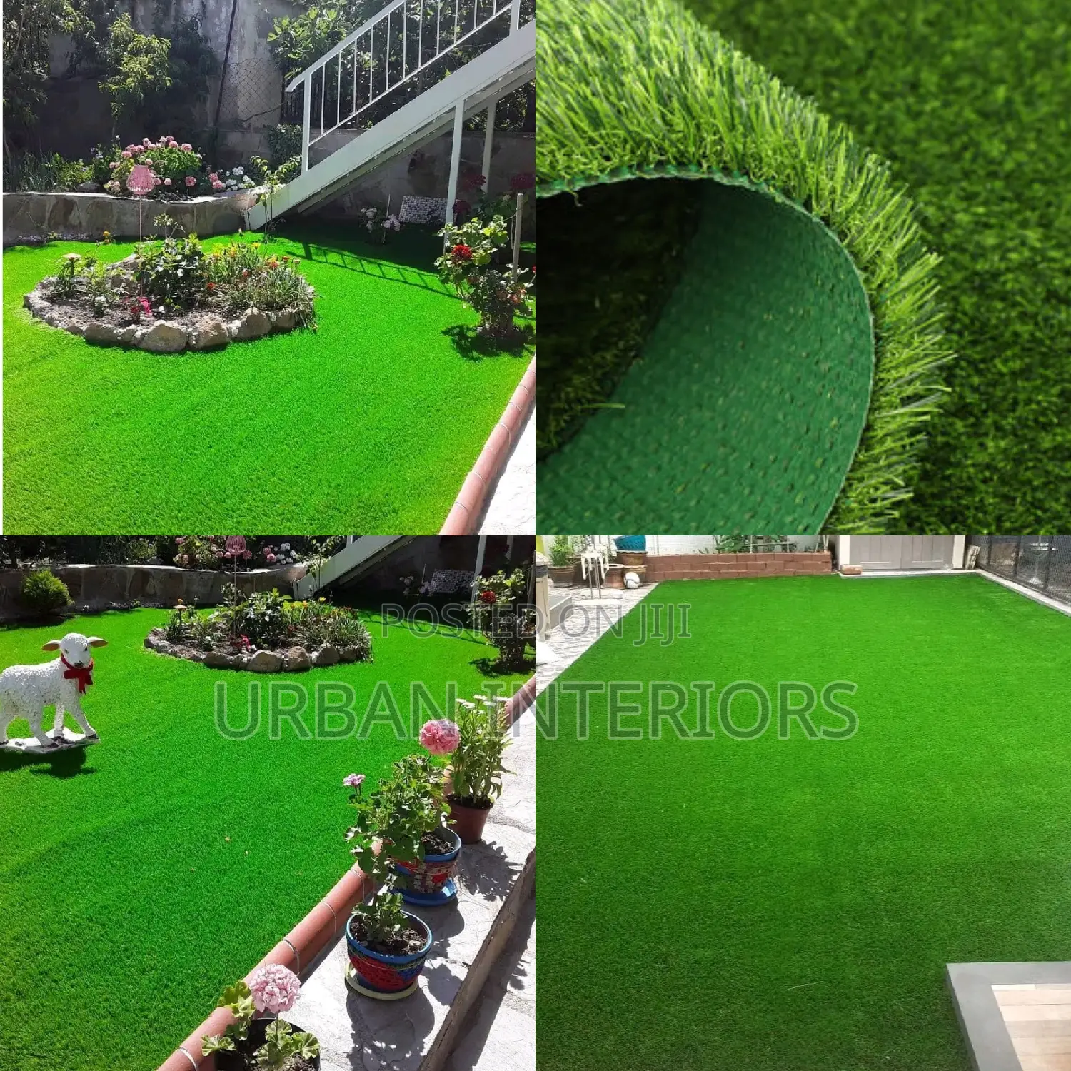 Grass Carpet Grass Carpet Grass Carpet Grass Carpet Grass