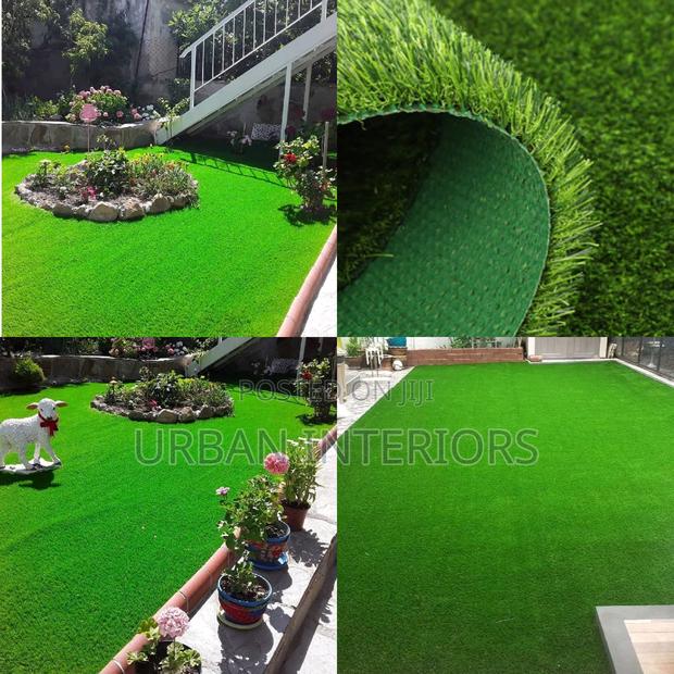 Grass Carpet Grass Carpet Grass Carpet Grass Carpet Grass