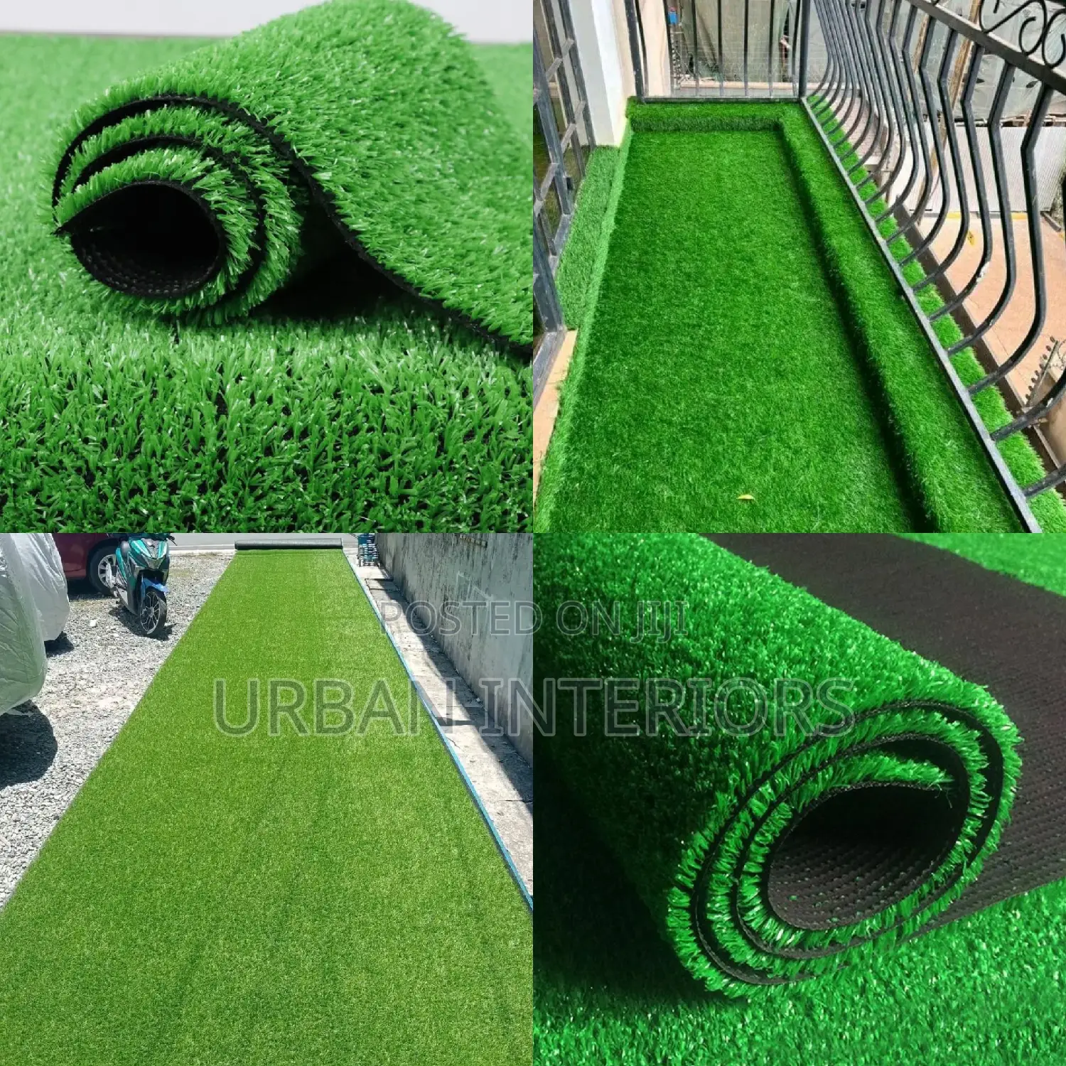 Grass Carpet Grass Carpet Grass Carpet Grass Carpet Grass