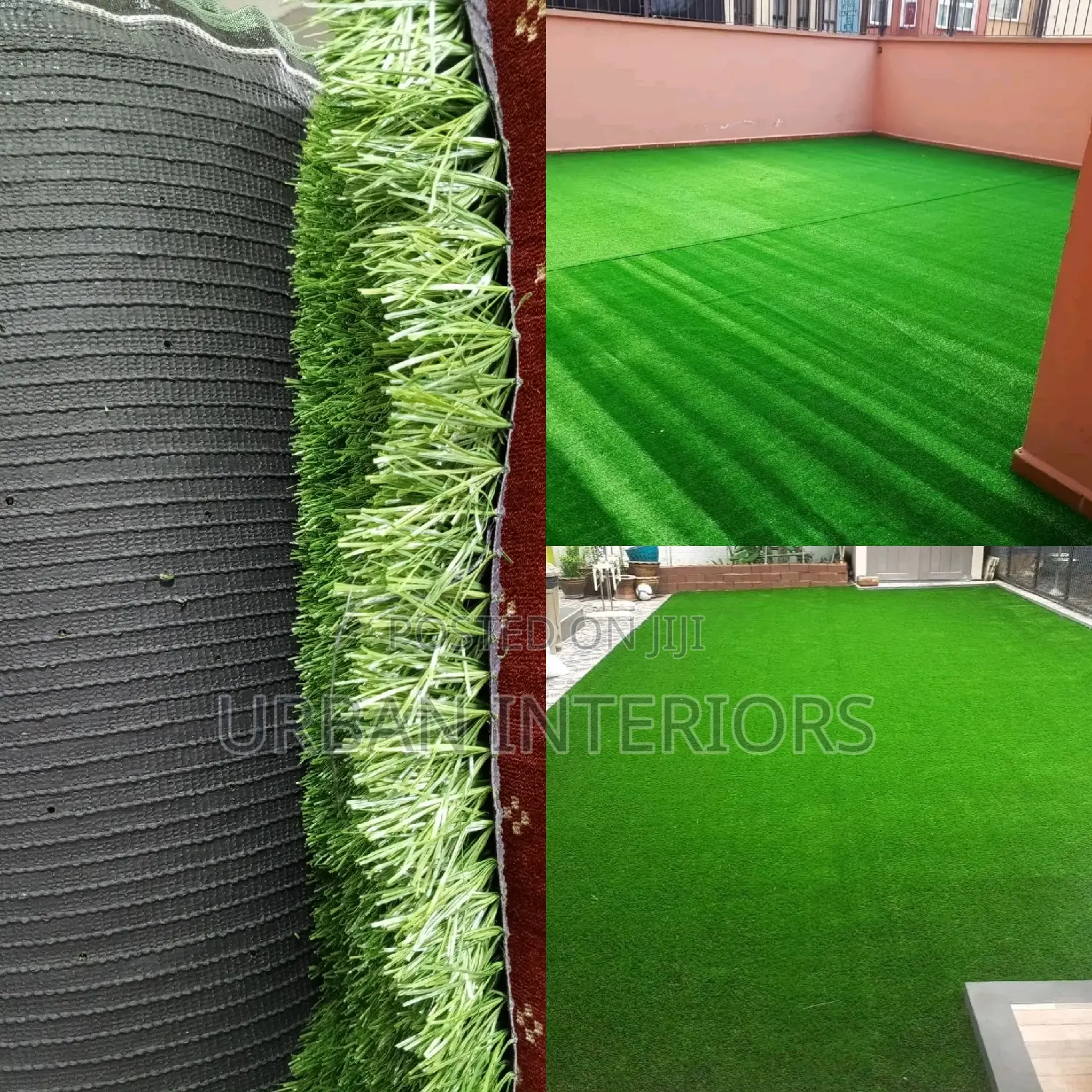 Grass Carpet Grass Carpet Grass Carpet Grass Carpet Grass