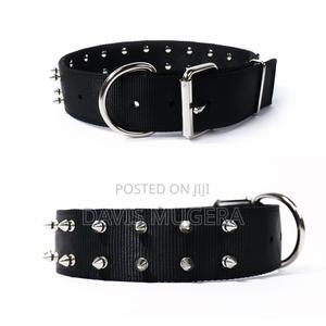 T-Rex Protective Spiked Dog Collar - thumbnail 2