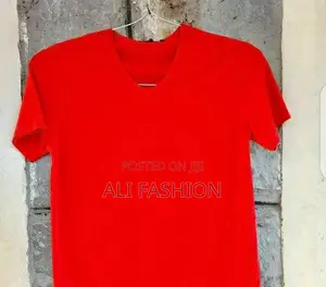 V Neck T-Shirts for Men