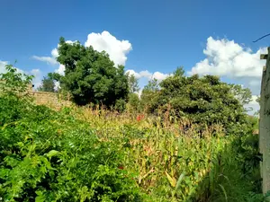A Full Eighth Acre Commercial Plot in Ongata Rongai, Nkoroi