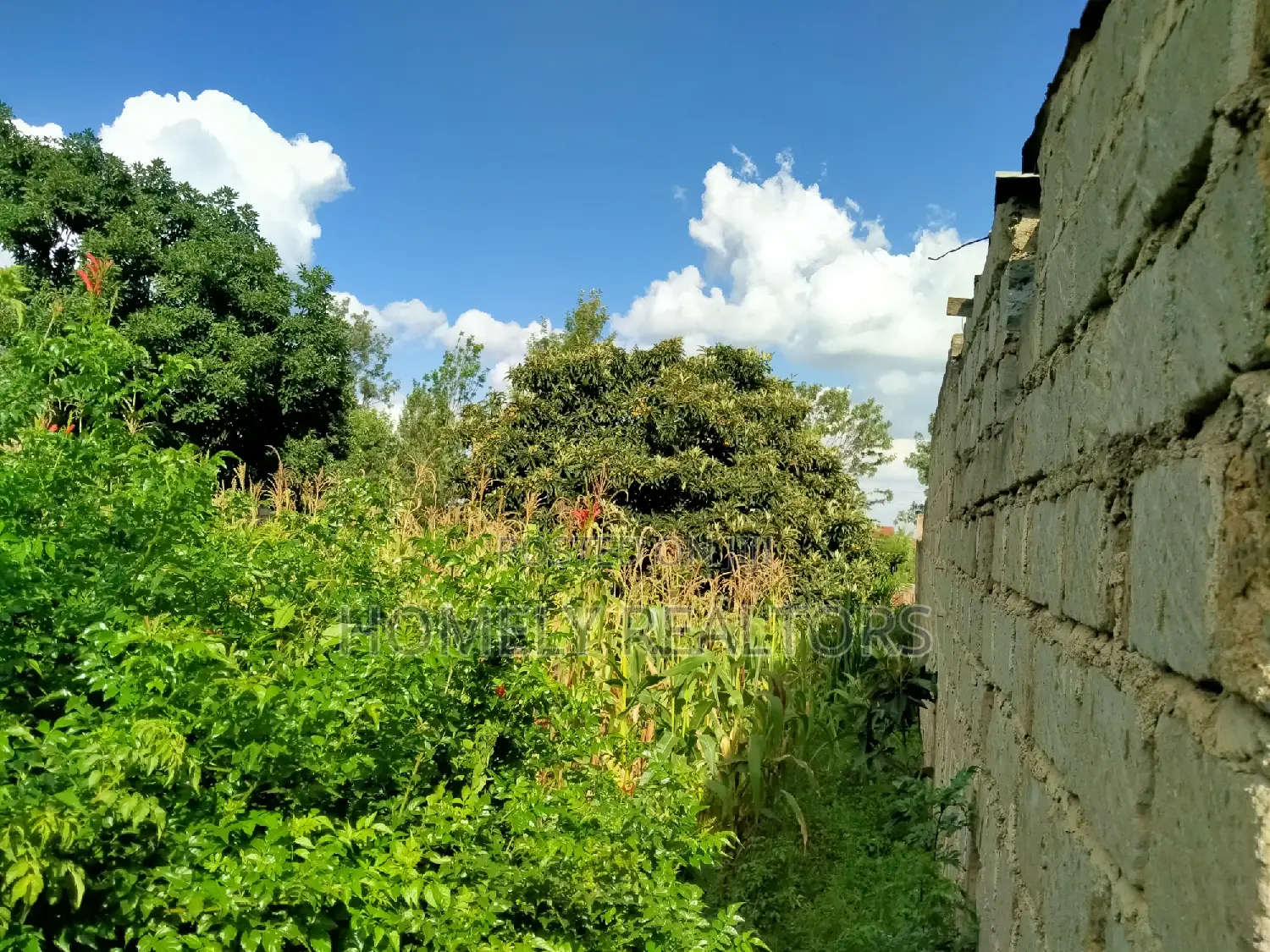A Full Eighth Acre Commercial Plot in Ongata Rongai, Nkoroi
