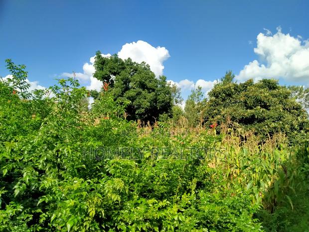 A Full Eighth Acre Commercial Plot in Ongata Rongai, Nkoroi - thumbnail 4