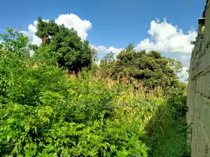 A Full Eighth Acre Commercial Plot in Ongata Rongai, Nkoroi