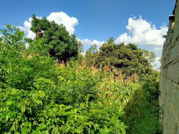 A Full Eighth Acre Commercial Plot in Ongata Rongai, Nkoroi - thumbnail 5