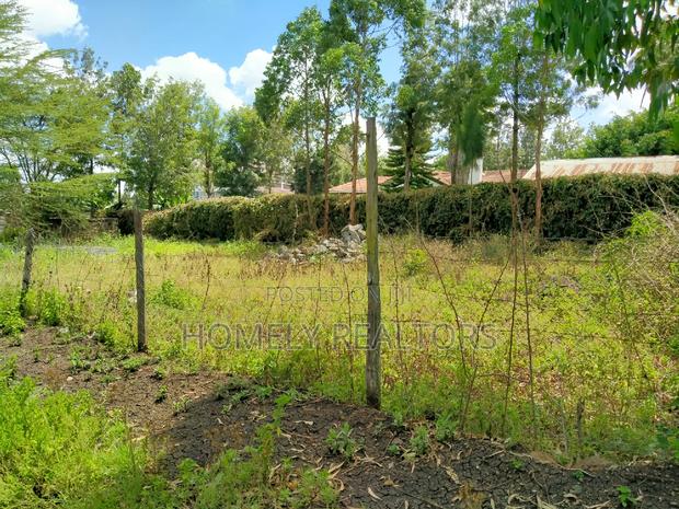 Quarter Acre Plot in Ngong, Merisho. 2nd Row From Tarmac - thumbnail 6