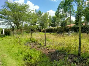 Quarter Acre Plot in Ngong, Merisho. 2nd Row From Tarmac