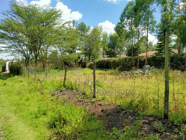 Quarter Acre Plot in Ngong, Merisho. 2nd Row From Tarmac - thumbnail 4
