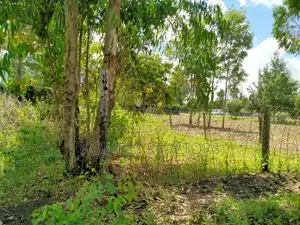 Quarter Acre Plot in Ngong, Merisho. 2nd Row From Tarmac