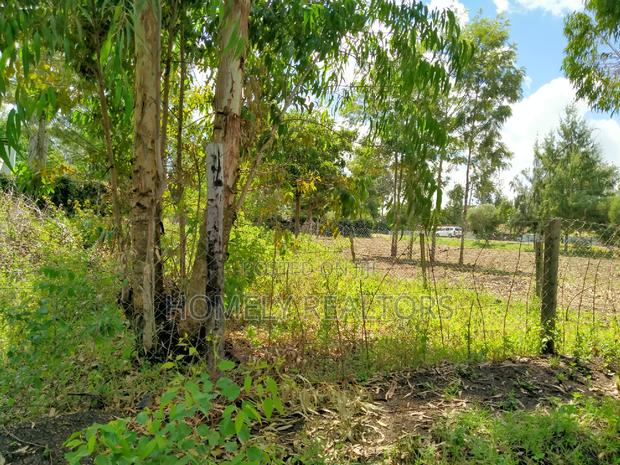 Quarter Acre Plot in Ngong, Merisho. 2nd Row From Tarmac - thumbnail 3