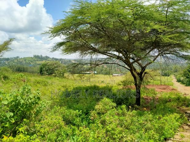 Half Acre Plot in Kiserian Few Meters From Kahara Rd Tarmac - thumbnail 7