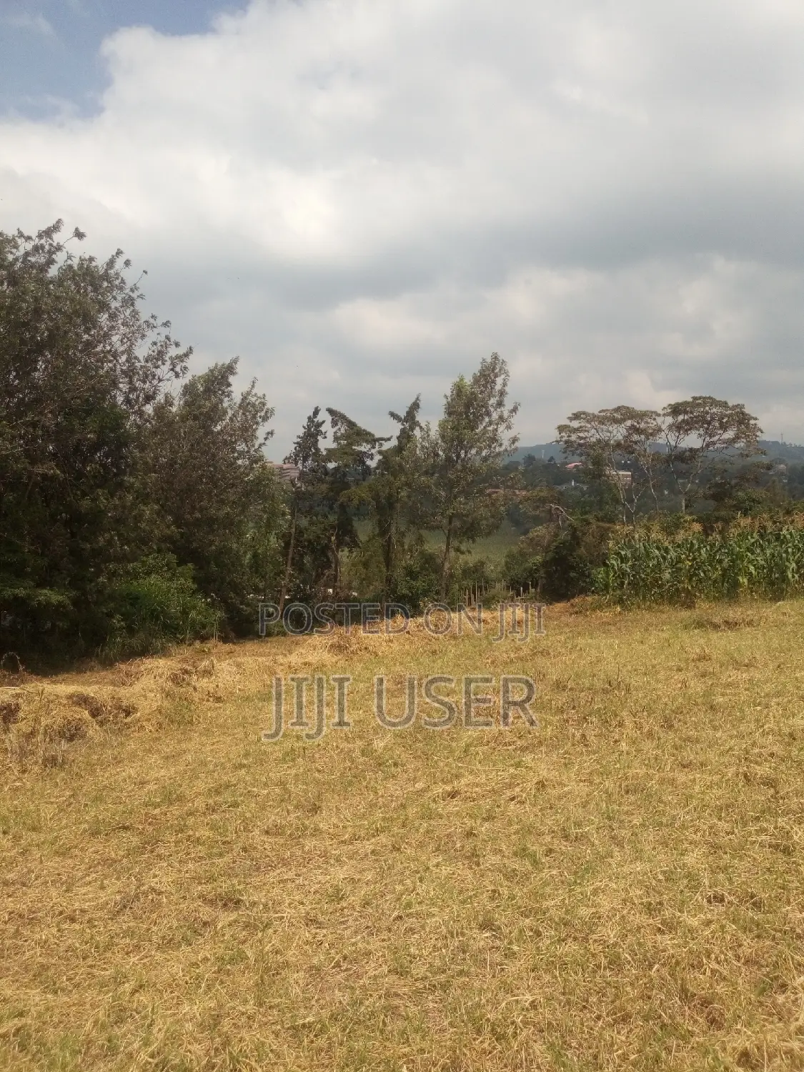 Prime 1/4 Acre Residential Land for Sale in Kibiku, Ngong