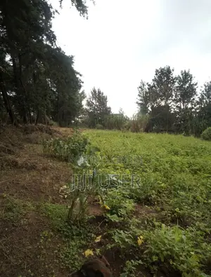 Prime 1/4 Acre Residential Land for Sale in Kibiku, Ngong