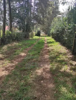 Prime 1/4 Acre Residential Land for Sale in Kibiku, Ngong