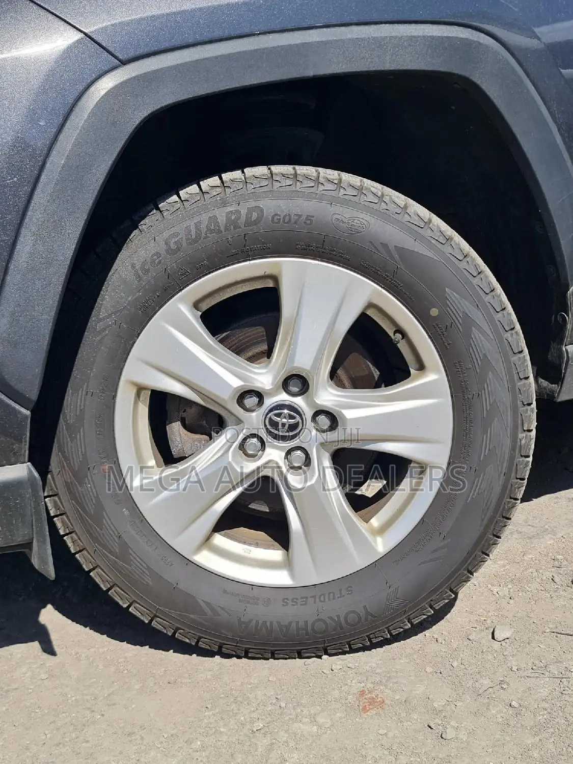 Toyota RAV4 Limited AWD 2020 Gray