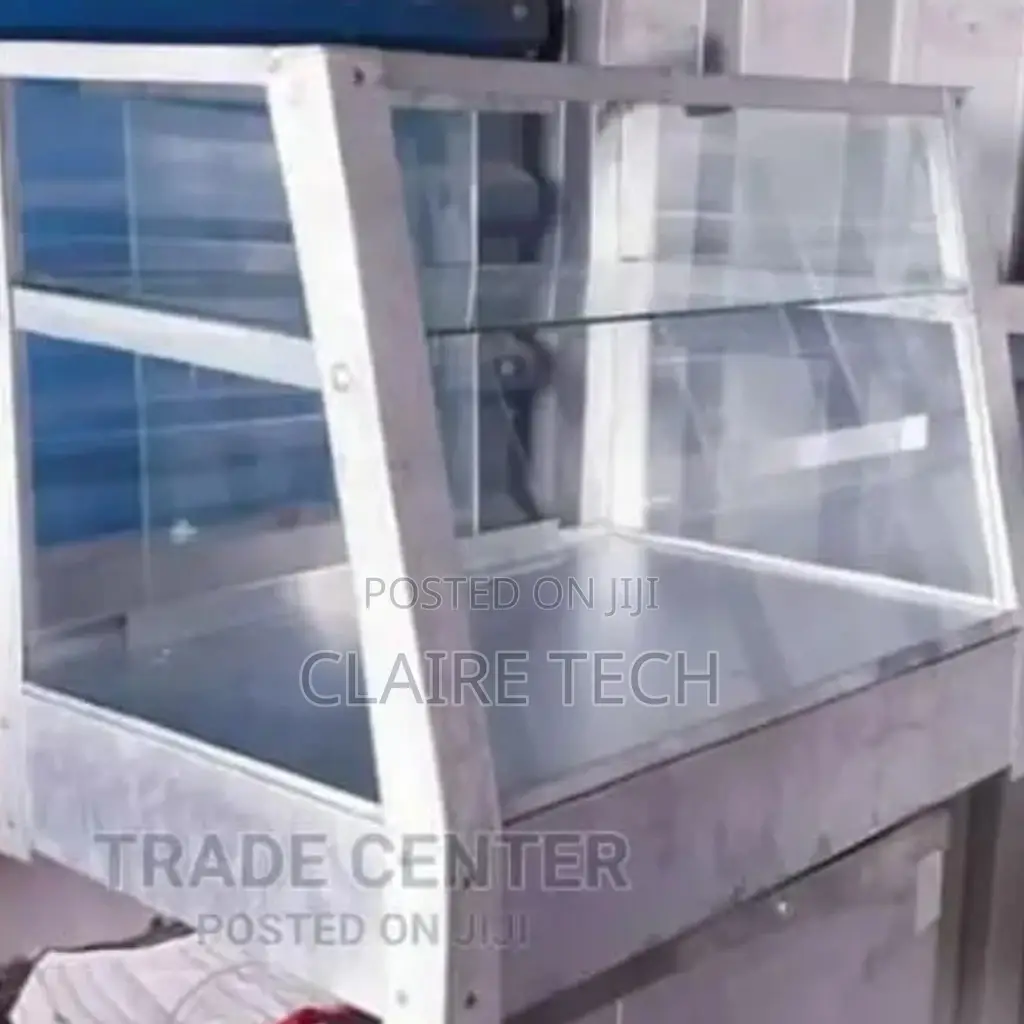 Stainless Steel Chips Warmer/ Display Electric