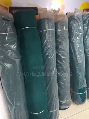 Scaffolding Safety Nets