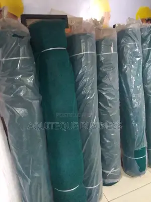 Scaffolding Safety Nets
