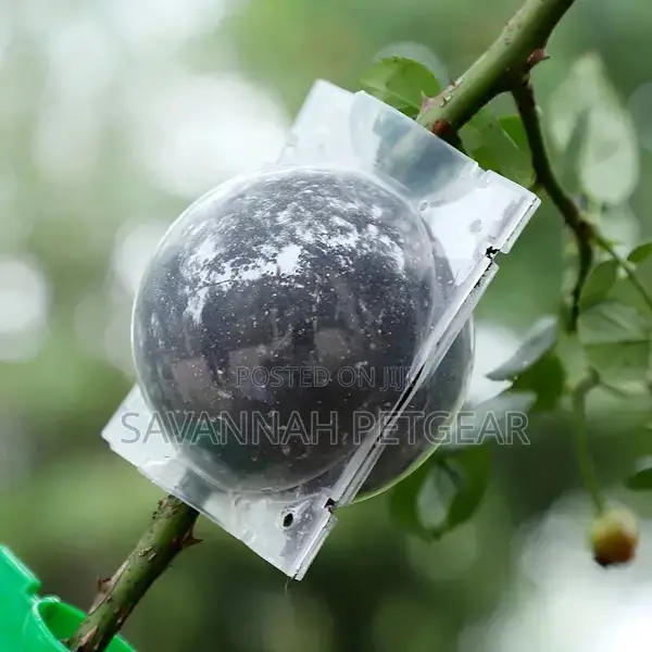 Rooting Ball Garden Aerial Layering Grafting Plant Rooting