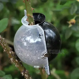 Rooting Ball Garden Aerial Layering Grafting Plant Rooting