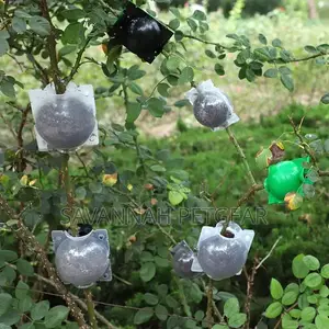 Rooting Ball Garden Aerial Layering Grafting Plant Rooting