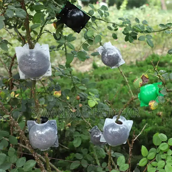 Rooting Ball Garden Aerial Layering Grafting Plant Rooting