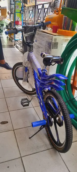 Mulinner Strong Bicycle Size 20