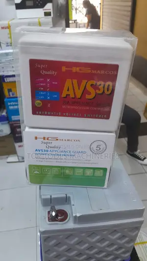 Automatic Voltage Switch Avs30