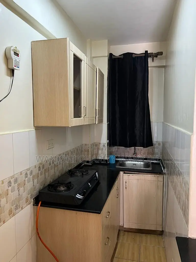 Spacious Furnished One Bedroom at South B