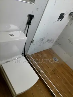 Toilet Leakages and Repairs