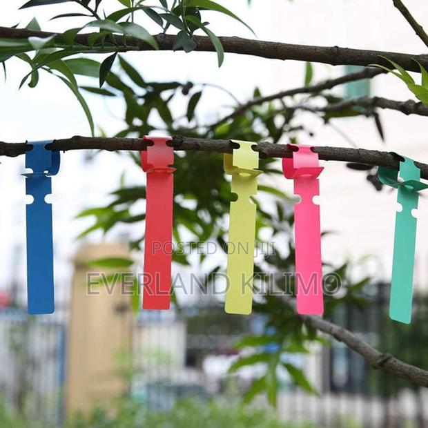 Plant Tag - Ribbon Type