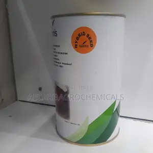 Jambar Onion Hybrid Seeds 500 Grams